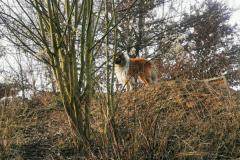 IMG_20220128_134739