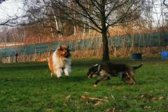 IMG_20220128_134911