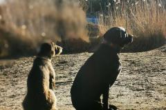 IMG_20220128_143001