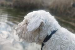 IMG_20230110_103516