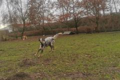 IMG_20230113_113837