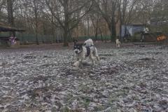 IMG_20230118_103927