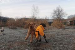 IMG_20230118_105350