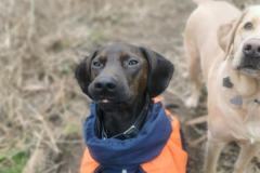 IMG_20230124_120118