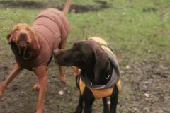 IMG_20230127_102901