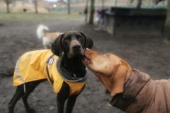 IMG_20230127_103337