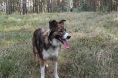 K1600_Lotta Wald (6)