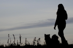 K1600_Ria und Loki Banner sw 1